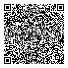 QR код "Шайн"