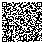 QR код "Мир"