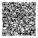 QR код "Алиса"
