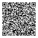 QR код "Спутник"