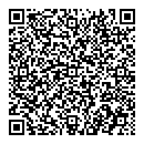 QR код "VIP STYLE"