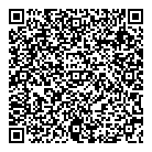 QR код "Луна"