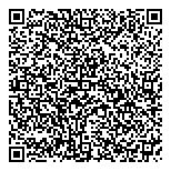 QR код "Серебряный шар"