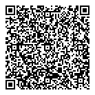 QR код "DNS TechnoPoint"