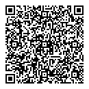 QR код "Domino"