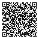 QR код "Алиса"