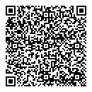 QR код "Блеск"