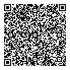 QR код "Аэлита"