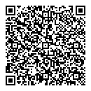 QR код "Глобус"