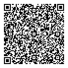 QR код "Вектор 2013"