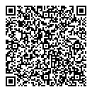 QR код "Mix"