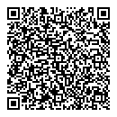 QR код "Solo"
