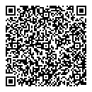 QR код "Блеск"