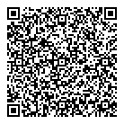 QR код "Flash"