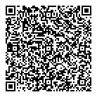 QR код "Ван Гог"