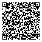 QR код "Давид"