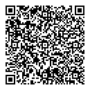 QR код "Дельта"