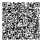 QR код "Rock paint"
