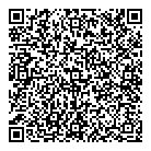 QR код "Домино"