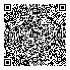 QR код "Торси НН"