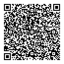 QR код "Rock paint"