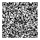 QR код "Профессионал"