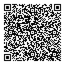 QR код "Блеск"