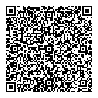 QR код "Домино"