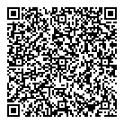 QR код "Аэлита"