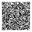QR код "Нефертити"