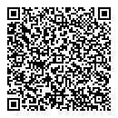 QR код "Глобус"