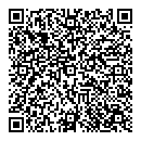 QR код "Спутник"