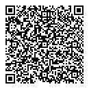 QR код "Геккон"