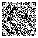 QR код "Satinik"