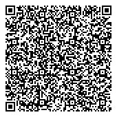 QR код "33 пингвина"