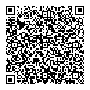 QR код "Динамо"