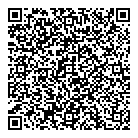 QR код "Тесли"
