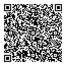 QR код "Сатурн"