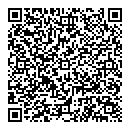 QR код "Глобус"