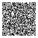 QR код "Chrome"