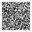 QR код "Бабочки"
