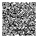 QR код "Пчелки"