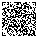 QR код "Домино"