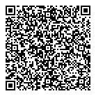 QR код "Levin biz"
