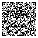 QR код "Star Sky"