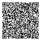 QR код "Звездный"