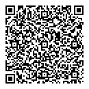 QR код "Спутник"