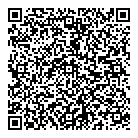 QR код "Звездочка"