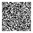 QR код "Мир"