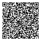 QR код "Сopyschon"
